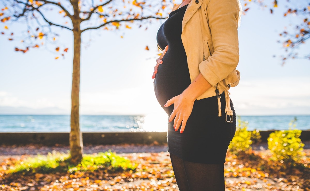Solicitar Asignación por Embarazo para protección social