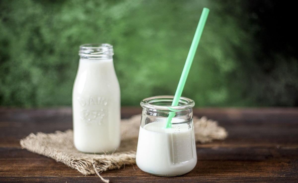 leche fortificada y alimentos saludables a los titulares de la AUH y AE